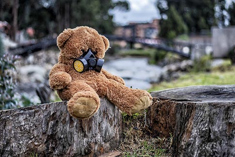 teddy bear on a tree stump wearing a max